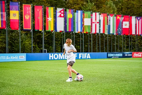FIFA · Collaboration